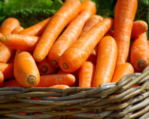 Цены на морковь выросли, фермеры остановили продажу