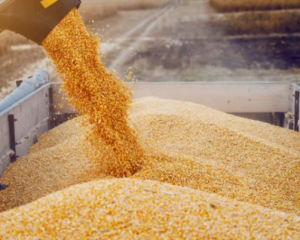 Польща не скасує заборону на імпорт української агропродукції