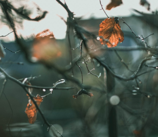 Синоптики обновили прогноз на 31 октября