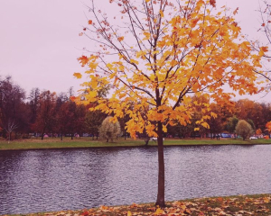 Косми та Даміана: що не можна робити сьогодні, щоб не знати бідності