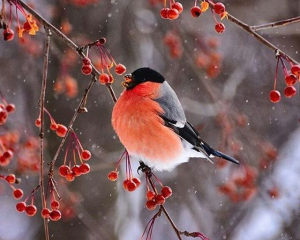 Избегайте встреч с врагами и дальнего пути: запрета дня