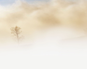 Киян попередили про небезпеку: сьогодні можливий сильний туман