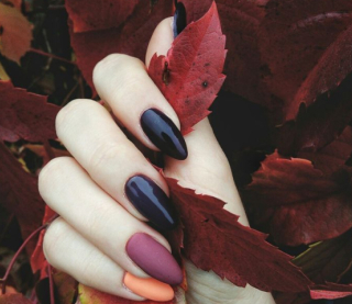 Який манікюр робити в листопаді: модні кольори й дизайни