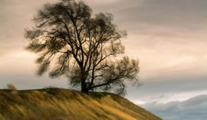 Воздержитесь от серьезных решений и не начинайте важных дел: запреты в день Галактиона