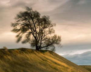 Воздержитесь от серьезных решений и не начинайте важных дел: запреты в день Галактиона