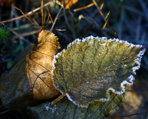 Сказали, когда в Украину придет серьезное похолодание