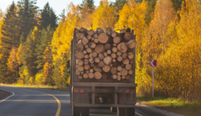 Товарна біржа "Українська торгова платформа" має гарні показники з виконання договорів купівлі-продажу деревини