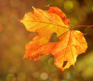 Українців порадували прогнозом погоди на четвер