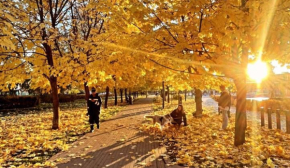 Не стоит бездельничать и злословить: запреты и приметы в день Феодота