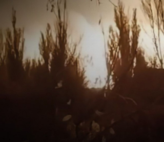 Дрони ЗСУ уразили базу &quot;шахедів&quot; у Донецьку та Волгоградський НПЗ в РФ