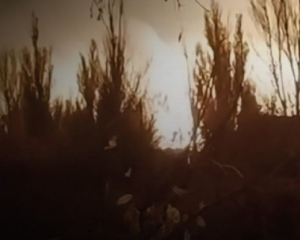 Дроны ВСУ поразили базу &quot;шахидов&quot; в Донецке и Волгоградский НПЗ в РФ