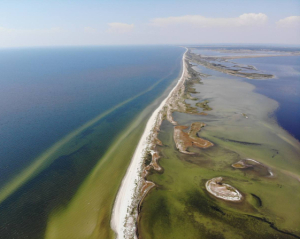 Кинбурнская коса и &quot;Аскания-Нова&quot; фактически уничтожены россиянами