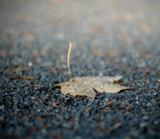 Синоптикиня здивувала прогнозом на п&#039;ятницю