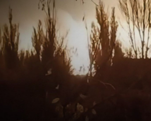 Волгоградский НПЗ &quot;Лукойла&quot; остановил работу после ударов БПЛА 6 ноября - СМИ