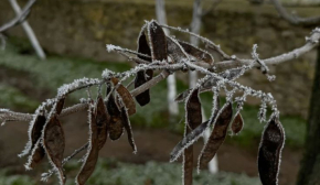 Будь-які плани можуть зірватися: заборони у Матронів день