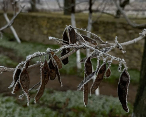 Любые планы могут сорваться: запреты у Матронов день