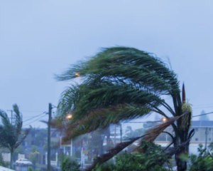 До Філіппін наближається потужний тайфун &quot;Фунг-вонг&quot;: метеорологи попереджають про хвилі до 5 м