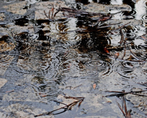 В некоторых областях пройдут дожди: синоптики назвали прогноз погоды на 9 ноября