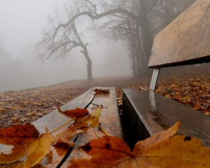 Конфликт затянется надолго: запреты и приметы 10 ноября