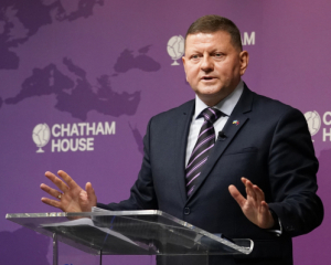 Залужний пояснив, яким повинен бути мир в Україні