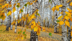 Уникайте позик та конфліктів: заборони у день Теодора Студита