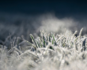 Чи очікувати сніг або сильного похолодання: синоптикиня пояснила
