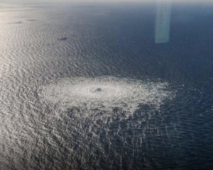 Подозреваемый в подрыве &quot;Северных потоков&quot; украинец прекратил голодовку