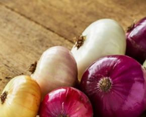 Какой лук самый полезный: желтый, белый или красный
