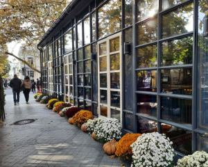 Мини-кафе в Черновцах гасило светофоры на проспекте, когда готовило кофе