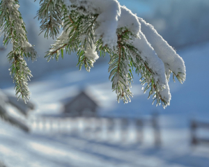 Українські зими скоротилися майже на місяць і стають усе теплішими