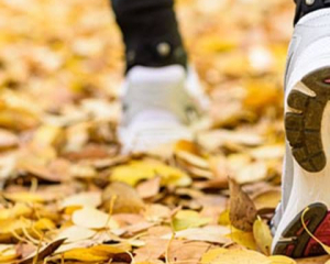 Что произойдет с организмом, если выходить на утреннюю пробежку голодным