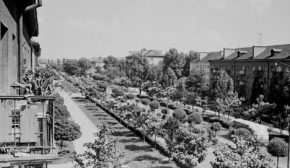 Місто з унікальною атмосферою: яким був Ужгород пів століття тому (фото)