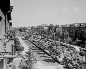 Місто з унікальною атмосферою: яким був Ужгород пів століття тому (фото)