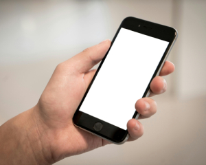 У &quot;Дії&quot; попередили про перебої через старт програми &quot;Зимова підтримка&quot;