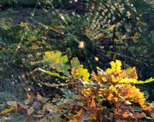 Погода різко зміниться: дощі накриють більшість областей України