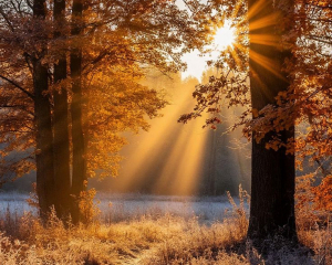 Сьогодні прислухайтесь до своєї інтуїції: прикмети дня