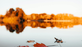 В Україну йде потепління до +17°С, але зі штормовим вітром
