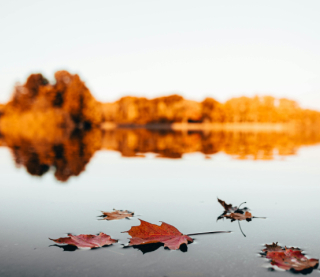 В Україну йде потепління до +17°С, але зі штормовим вітром