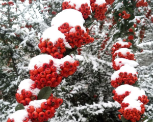 День Григория Чудотворца укажет, какой будет зима: следите за погодой сегодня
