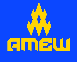 Российские войска атакуют собственные штурмовые подразделения - &quot;АТЕШ&quot;