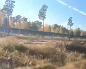 Партизани усюди: на військових частинах РФ поблизу Петербурга проведено розвідку