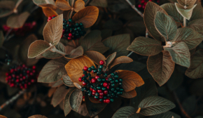 В Украине ожидается существенное похолодание: прогноз на 18 ноября