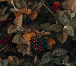 В Украине ожидается существенное похолодание: прогноз на 18 ноября