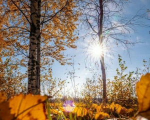 Неблагоприятный день для смены работы: какие запреты соблюдать сегодня