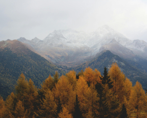 Дощі та пориви вітру: прогноз на 18 листопада