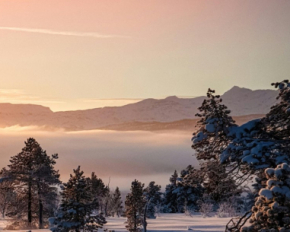 Горнолыжные курорты Украины засыпало снегом