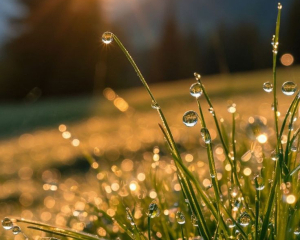 Поспіх призведе до помилок: прикмети та заборони дня