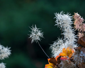 Дожди и морозы: какой будет погода 19 ноября
