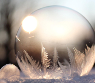 Холодна погода охопить Україну 20 листопада