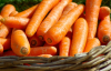 Цены на морковь падают: что произошло
